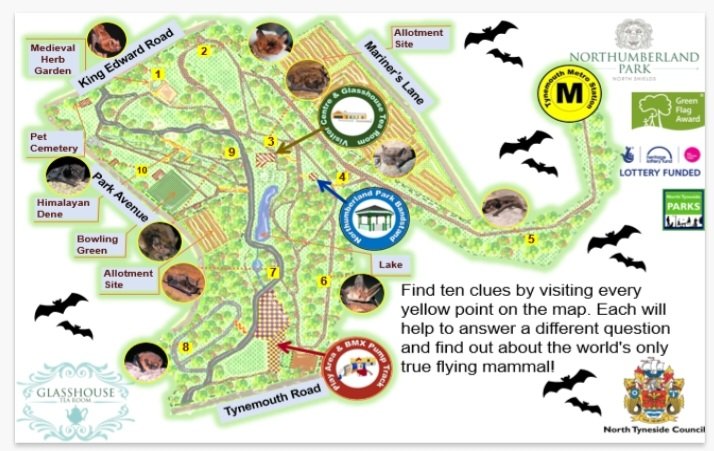 NlandPark's tweet image. Why not indulge in a bit of half-term battiness this week and follow our self-led Bat Trail around the park?
Trail maps available from the Glasshouse Tea Room and Visitor Centre Lobby.
#northshields #tynemouth #whitleybay #cullercoats #NTCouncilTeam #brilliantbats