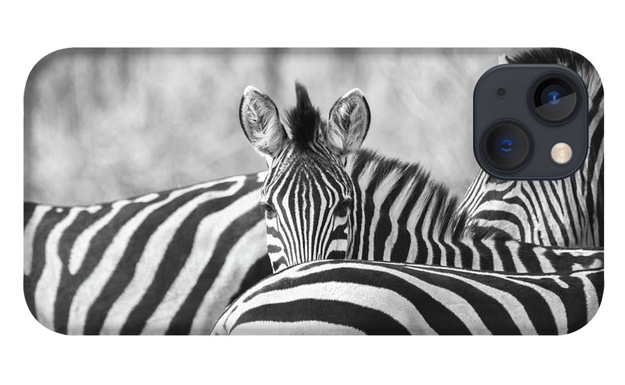 denisew428's tweet photo. #GiftIdeas for the #zebra lover in your life! #phonecase #zebraphonecase #gifts #ShopEarly #BuyIntoArt get this and other here!
https://t.co/hJsHzCGnYF https://t.co/3XwlfyGMHB