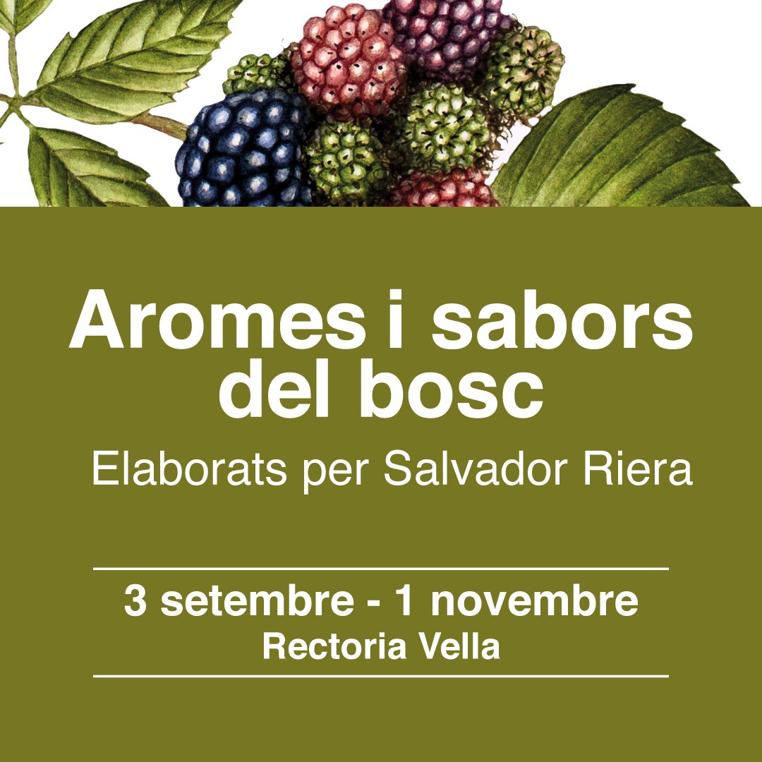 Aj. de Sant Celoni tweet media