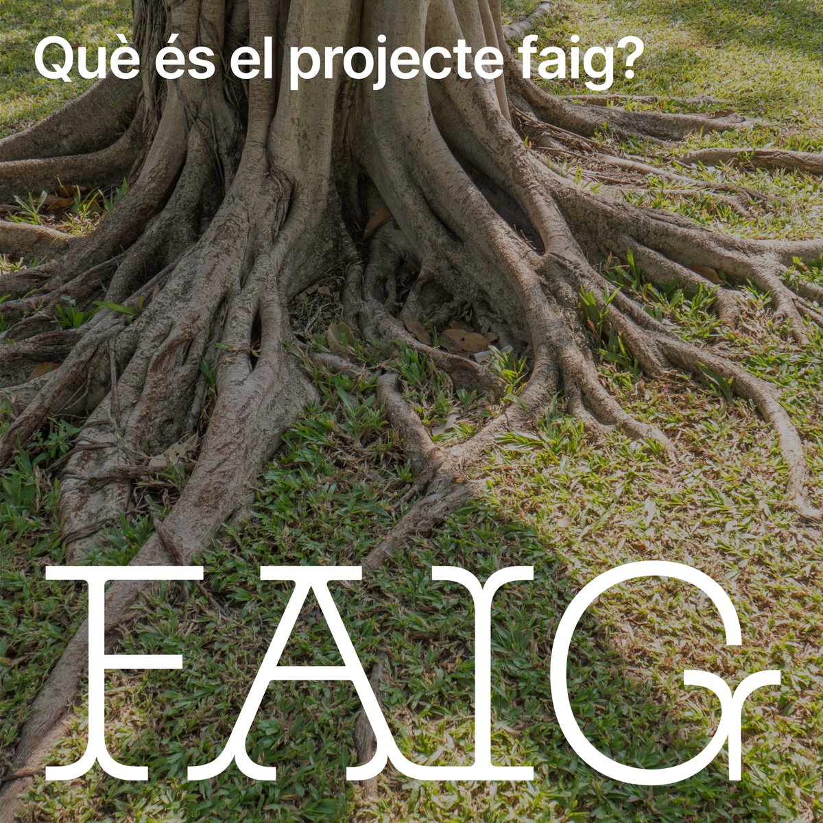 cesirecat's tweet image. Som #ProjecteFaig, un projecte pilot amb la voluntat d’aportar una nova visió a les aules públiques basant-nos en l’#AprenentatgeAmbSentit. Obrim un compte d'Instagram! Segueix-nos per més informació 👉instagram.com/cesire_cat/