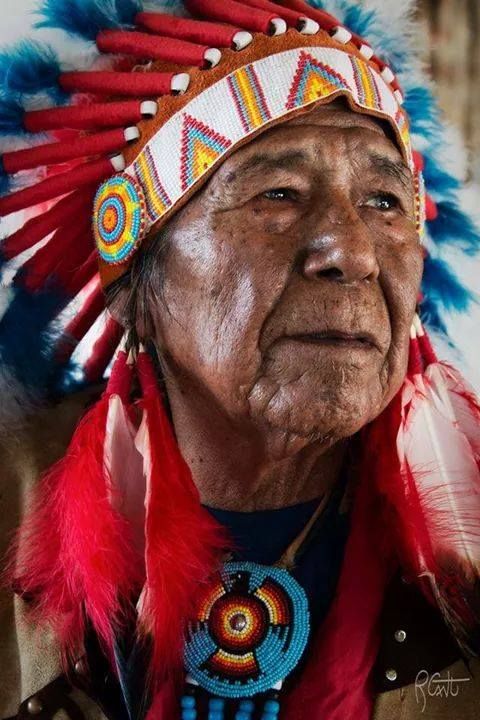 Native3rd's tweet image. “Never argue with a fool – people might not know the difference.”