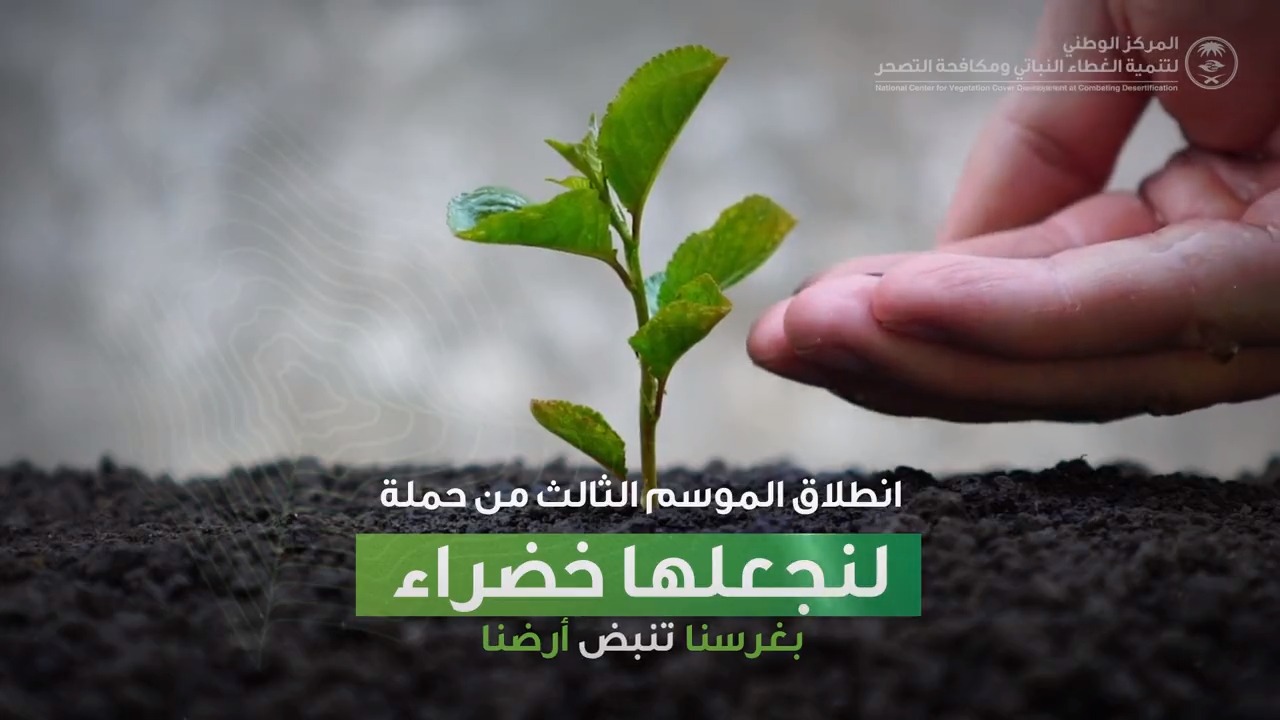 @ncvcksa's video Tweet