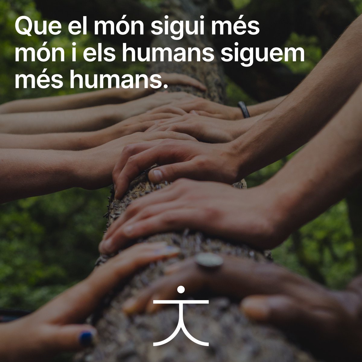 cesirecat's tweet image. Som #ProjecteFaig, un projecte pilot amb la voluntat d’aportar una nova visió a les aules públiques basant-nos en l’#AprenentatgeAmbSentit. Obrim un compte d'Instagram! Segueix-nos per més informació 👉instagram.com/cesire_cat/