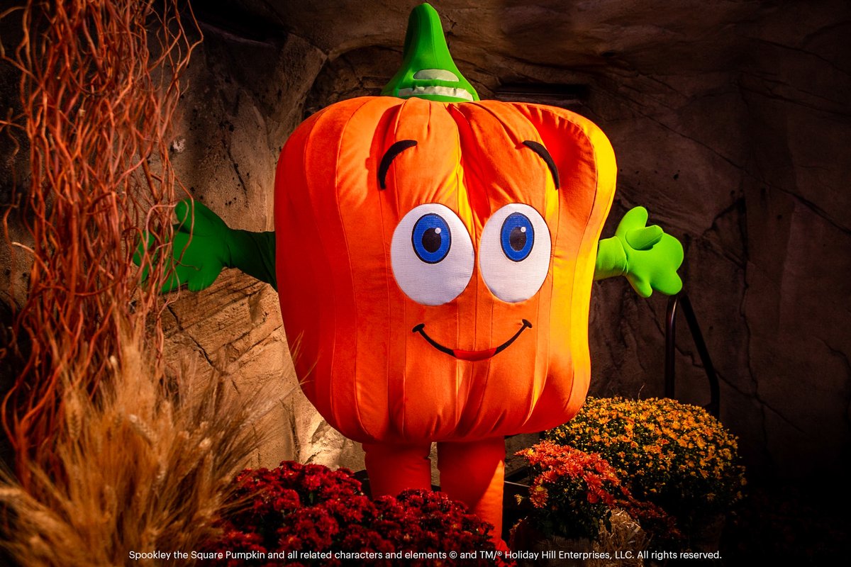 This weekend is the last weekend of #GoblinsAndGiggles! Join #Spookley the Square Pumpkin for meet-and-greets, hide-and-seek scavenger hunts in garden atriums decorated for #Halloween, movie nights, and bedtime stories. More: gaylordhotels.com *Activities vary by resort.