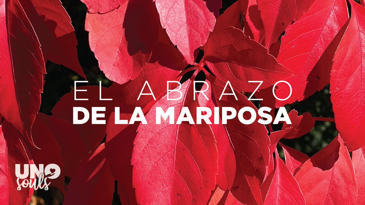 UNOSouls's tweet photo. El Abrazo de la Mariposa 👐 🦋

https://t.co/bF96evwEBk

Queremos enseñarles un ejercicio sencillo de relajación, que se llama "El Abrazo de la Mariposa" 

Esta herramienta es sencilla y poderosa. Puedes hacerlo durante 30 segundos o 3 minutos.  Esperamos que les guste✨ https://t.co/VF7vPVGtYx