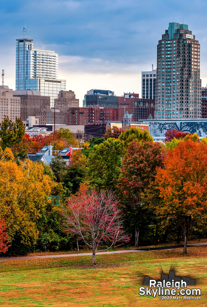 Patchwork of autumn leaves this morning in Raleigh. 🍂🎃 #fallcolors #autumn #raleigh

prints.metroscenes.com/raleigh-skylin…