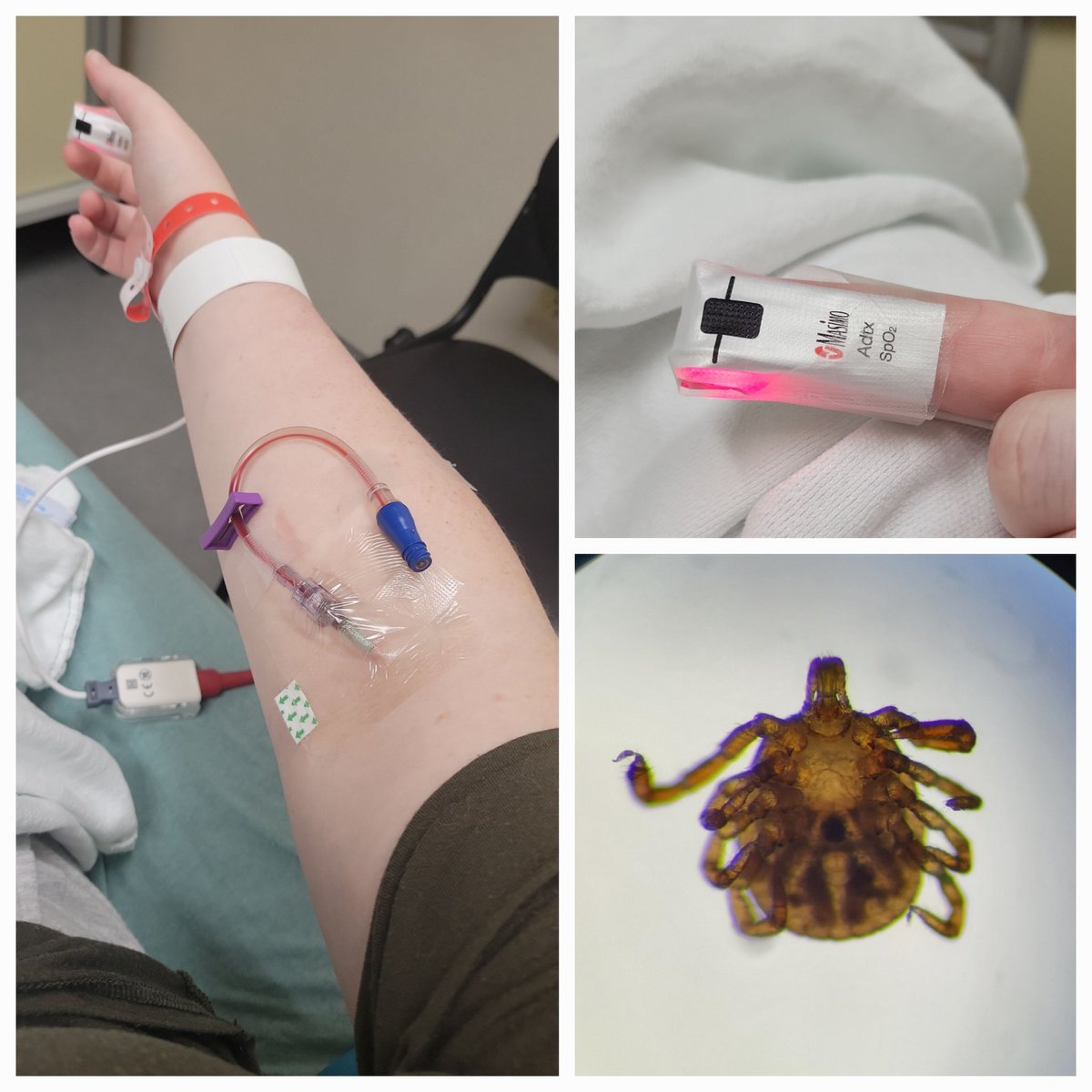 Elise Richardson, PhD tweet media