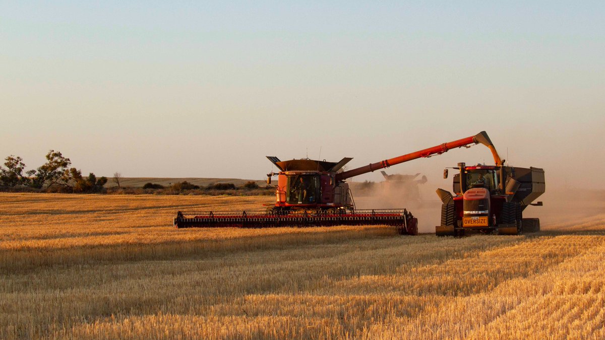 Ben Crosthwaite tweet media