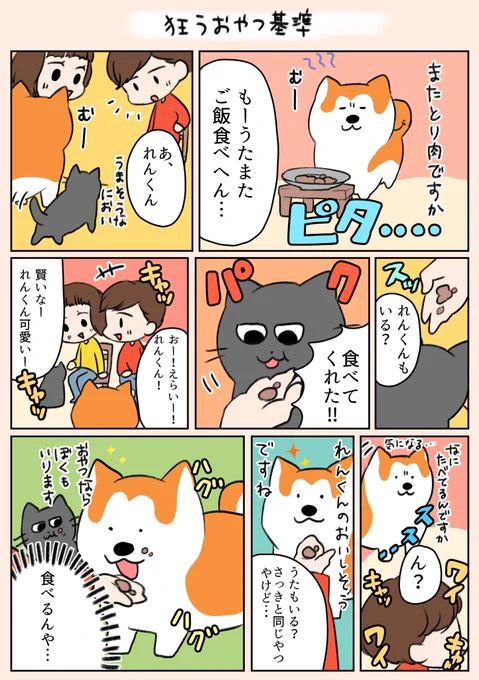 「狂うおやつ基準」
うたのご飯は家で作るのですが、鶏肉が入っているので、れん君がいつも覗きに来ます🫣
#漫画がよめるハッシュタグ 
#日常 
#秋田犬 