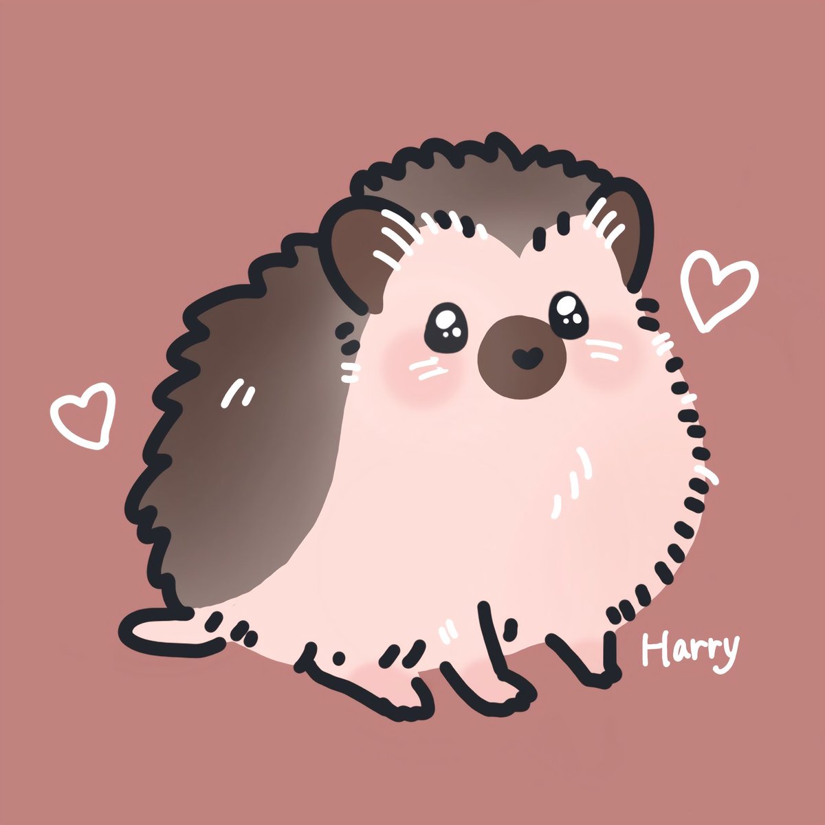 たけこ🦔ハリネズミのぽん太 (@andyou_5F8) / Posts / X