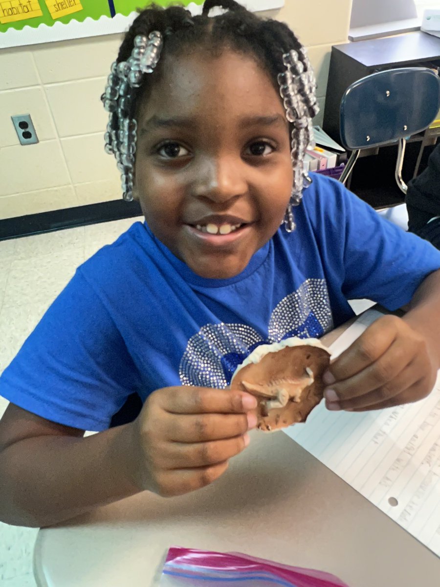 Kellie Lawrence (@mslawrencemps) on Twitter photo Fossil fun was on the schedule this week in 3rd grade! Students explored, researched, and applied their knowledge during a dinosaur fossil lab project. <a href="/academy_ib/">MacMillan"IB"Academy</a> <a href="/MPSAL/">Montgomery Public Schools</a> Fossil fun was on the schedule this week in 3rd grade! Students explored, researched, and applied their knowledge during a dinosaur fossil lab project. <a href="/academy_ib/">MacMillan"IB"Academy</a> <a href="/MPSAL/">Montgomery Public Schools</a>