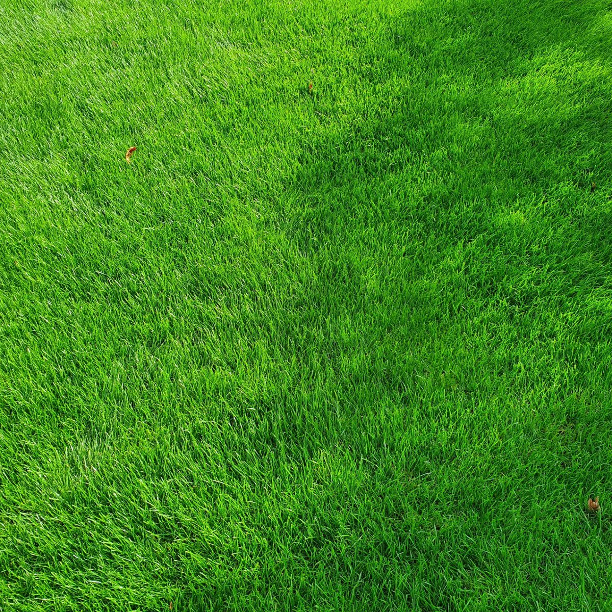 Six weeks difference 😎