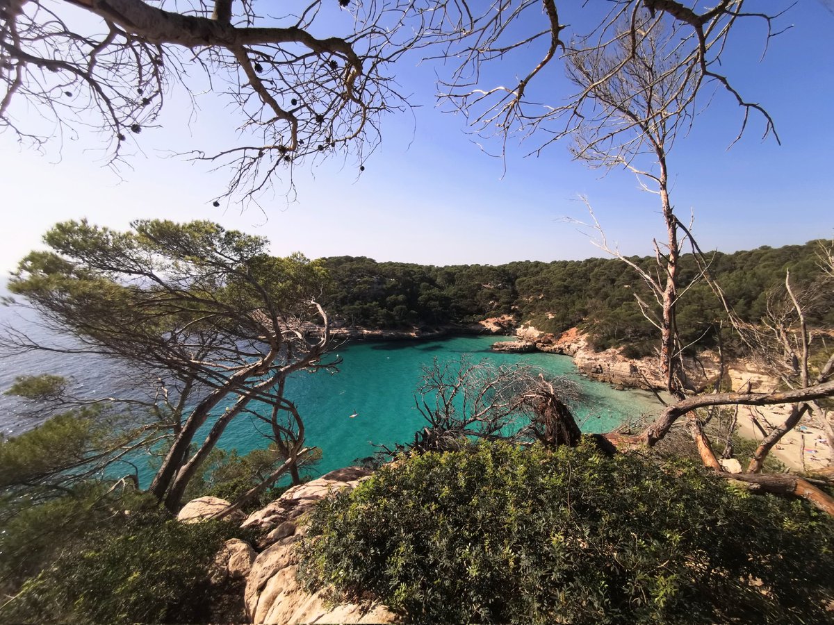 tismenic70's tweet photo. From swimming to climbing.
Look at that view!
#CalaMitjana https://t.co/bS0m40gWkd