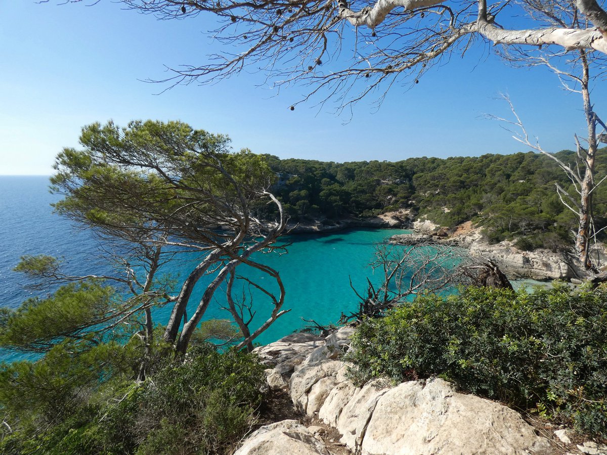 tismenic70's tweet photo. From swimming to climbing.
Look at that view!
#CalaMitjana https://t.co/bS0m40gWkd