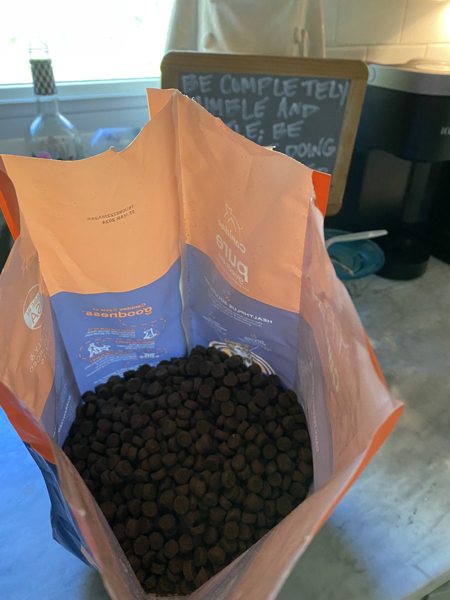 shanin molinaro tweet media