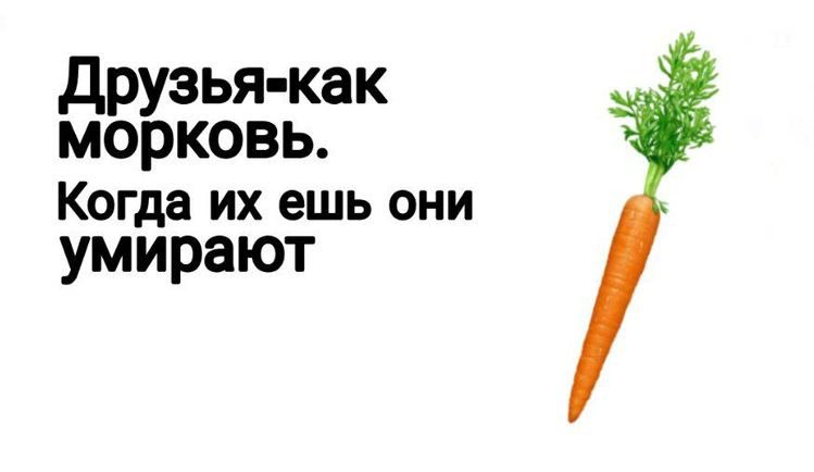 МЕМЫ ПРО ПИВО и не только (@beerserokot) on Twitter photo 