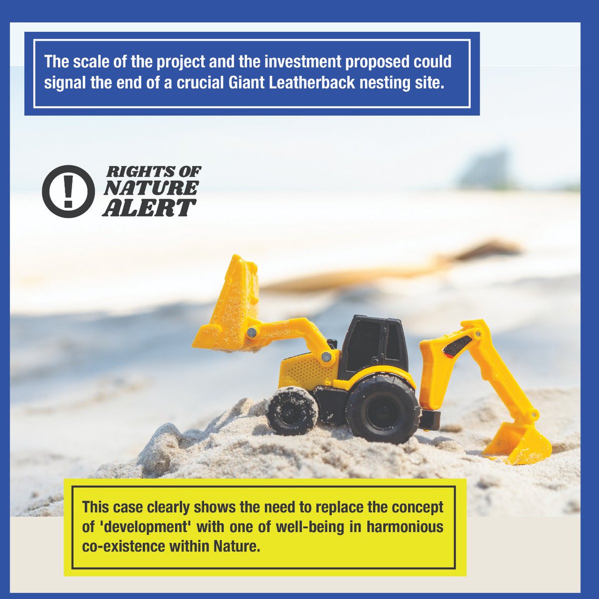 rontribunal's tweet photo. ‼️ The scale of the project and the investment proposed could signal the end of a crucial Giant Leatherback nesting site.
#RightsofNatureAlert https://t.co/Y9xXPMPqdg