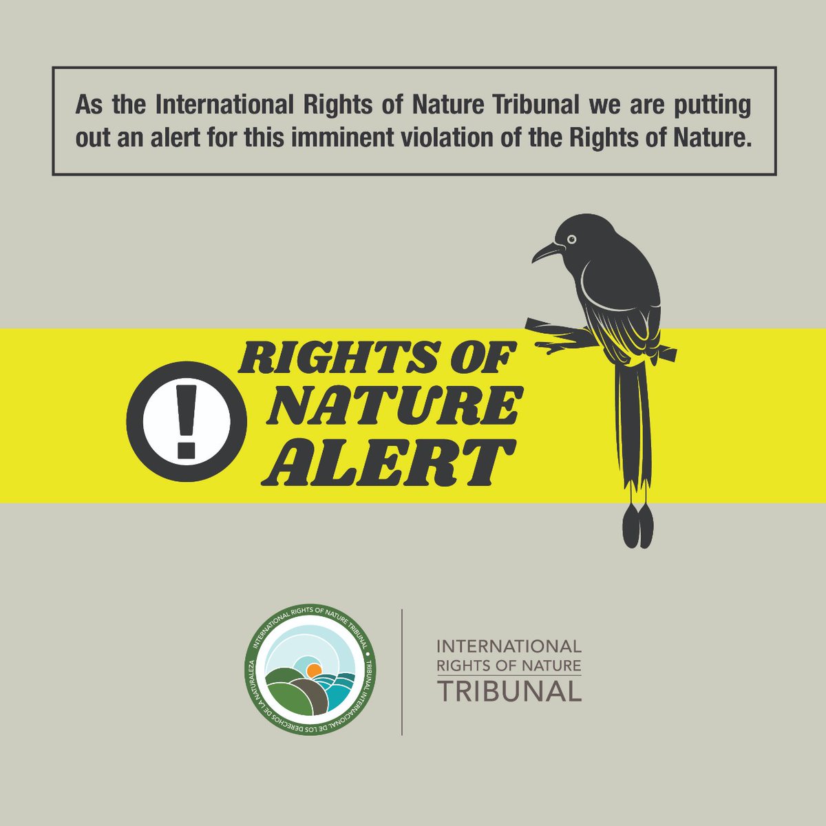 rontribunal's tweet photo. 🔴 As the International #RightsofNatureTribunal we are putting out an alert for this imminent violation of the Rights of #Nature - it is of the utmost importance to assert the rights of the Andaman and Nicobar Islands as self-regulating ecological entities.
#RightsofNatureAlert https://t.co/1xvseK3gAJ