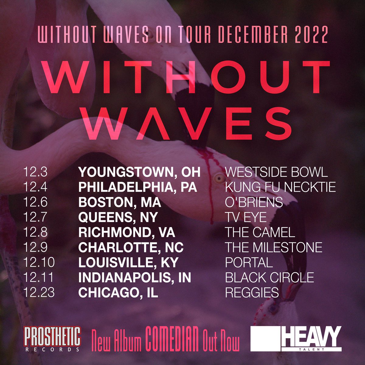 Without Waves tweet media