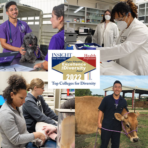 Tweet by K-StateVetMed