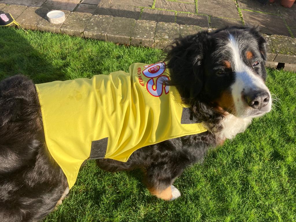 SOS Bus NI tweet media