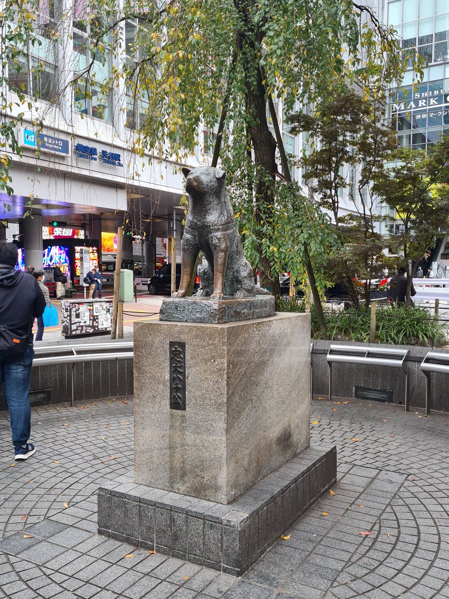 porjapon tweet media