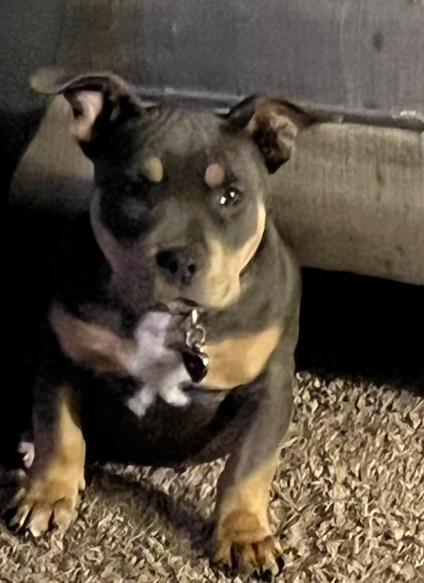 Frederick Yates (@yates2frederick) on Twitter photo 