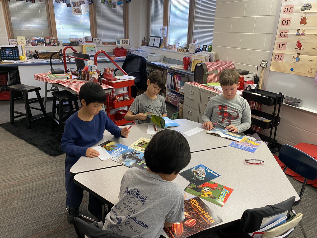 Suzan Feuer tweet media