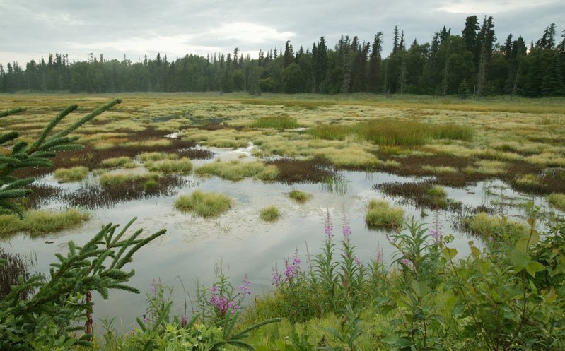 Bad Science tweet media