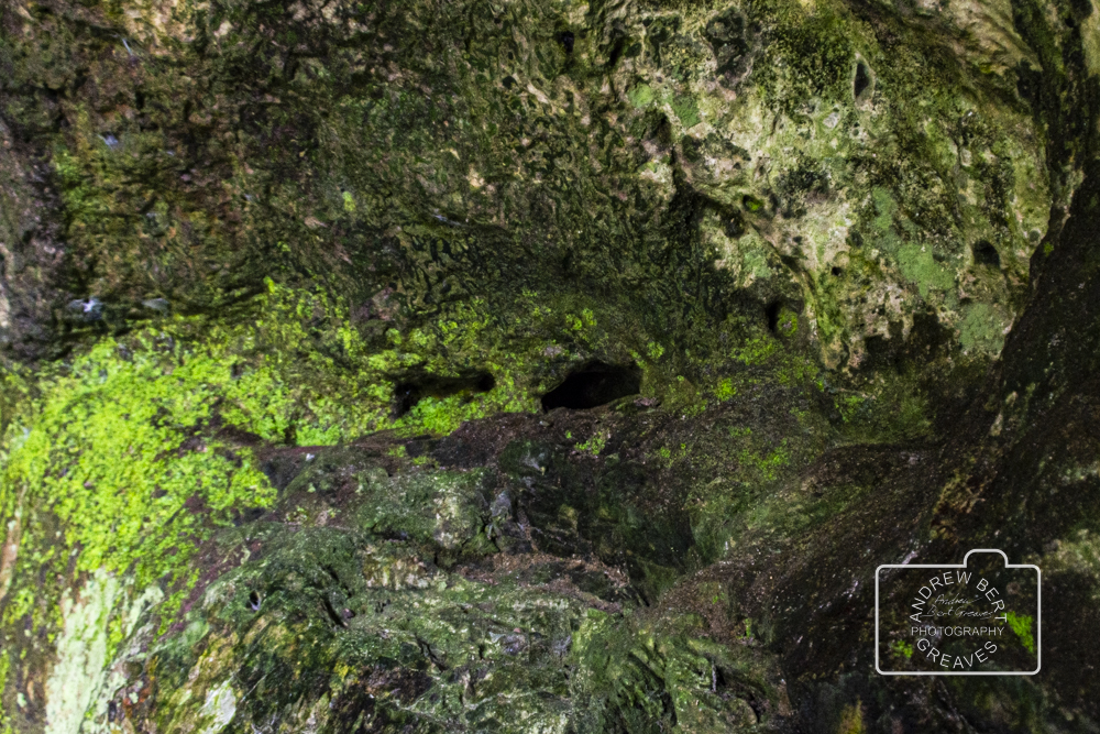 ABGreavesphoto's tweet photo. Rock face

#facethursday #thursdayface #rockface #rock #stoneface #sadrockface #stoneyfaced #pareidolia #iseefaces #facesinthings #facesinplaces #face #Nikon #whatdoyoumeanyoudontseeit #pareidolie #iseefaceseverywhere #pareidoliapic https://t.co/JjOOHvHWp0