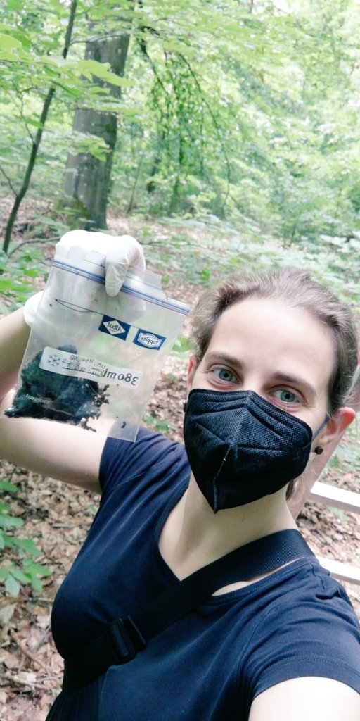 SofiaRizzi94's tweet photo. And of course, this wouldn't have been possible without my (twitterless) ex-student and great friend Franzi 😉 This shitty project will always be our baby 💩🦇😅

Updates on the project coming soon (hopefully) 😉

#batresearch #phdfieldwork https://t.co/QIko12OsNl