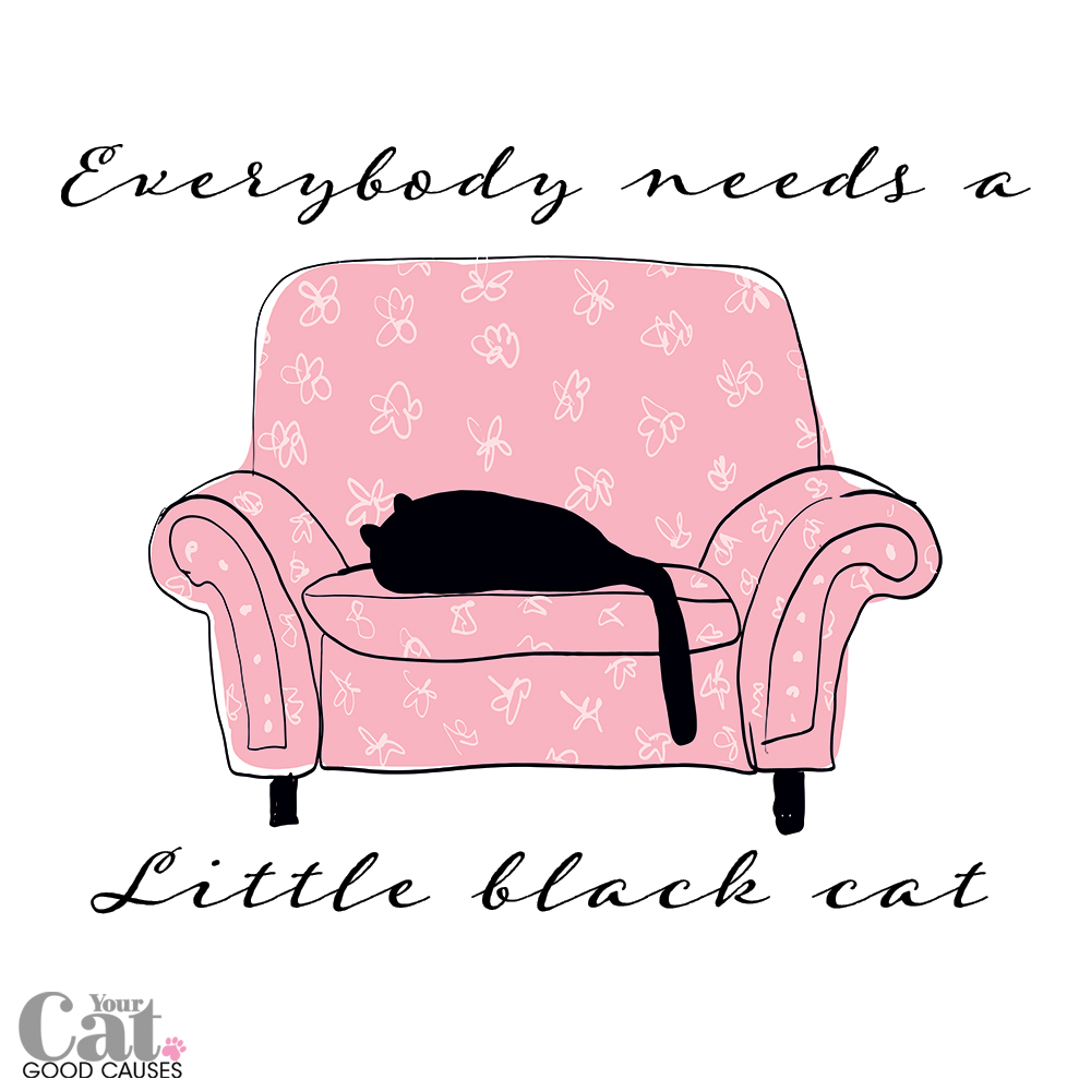 True 😻🖤 #NationalBlackCatDay #BlackCatDay