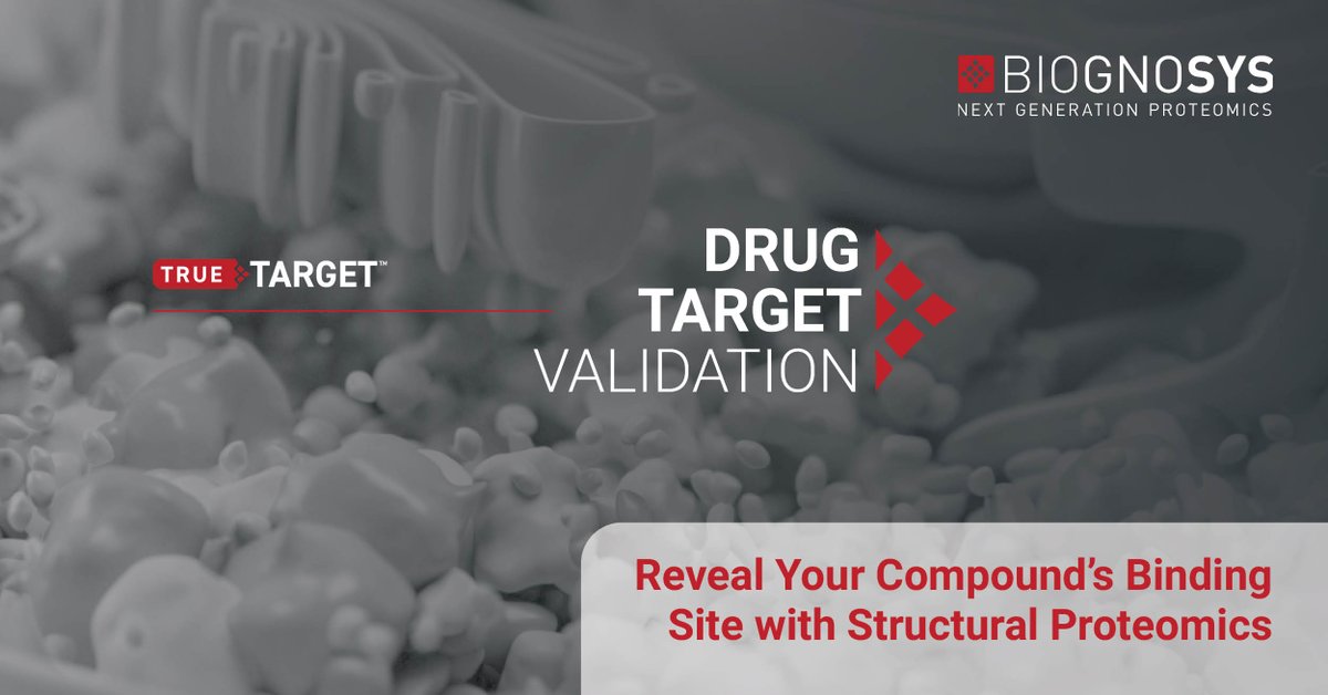 biognosys's tweet photo. We're thrilled to launch a new innovative application of our #TrueTarget™ platform: Drug Target Validation. The #proteomics service offers a new way to confidently characterize a drug’s binding site with structural proteomics at peptide-level resolution. https://t.co/Ls56CjL5eq https://t.co/SlTUq6TsAu