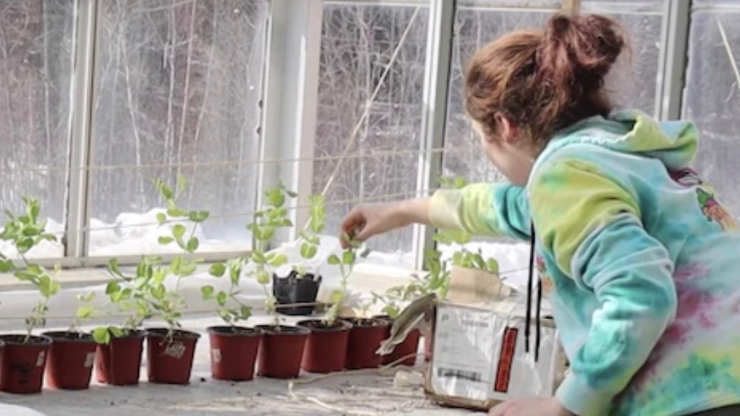 White Mountain Regional High School in New Hampshire (US) recently built a smart greenhouse using innovative Internet of Things technology and Arduino.

Discover why they chose to run an IoT and Cloud-connected project, and what their students learned: youtu.be/63hrR1XoN9M