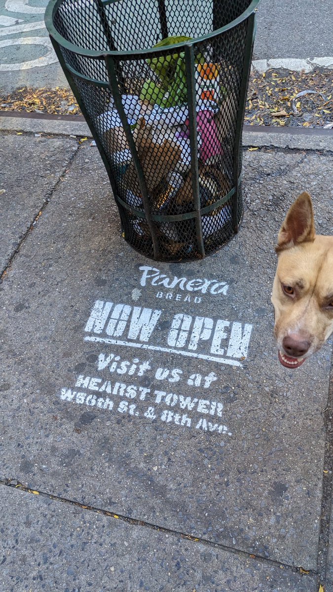 Eric01's tweet photo. @panerabread maybe don't use illegal or graffiti to advertise Panera bread... https://t.co/pCyU8OoEpu