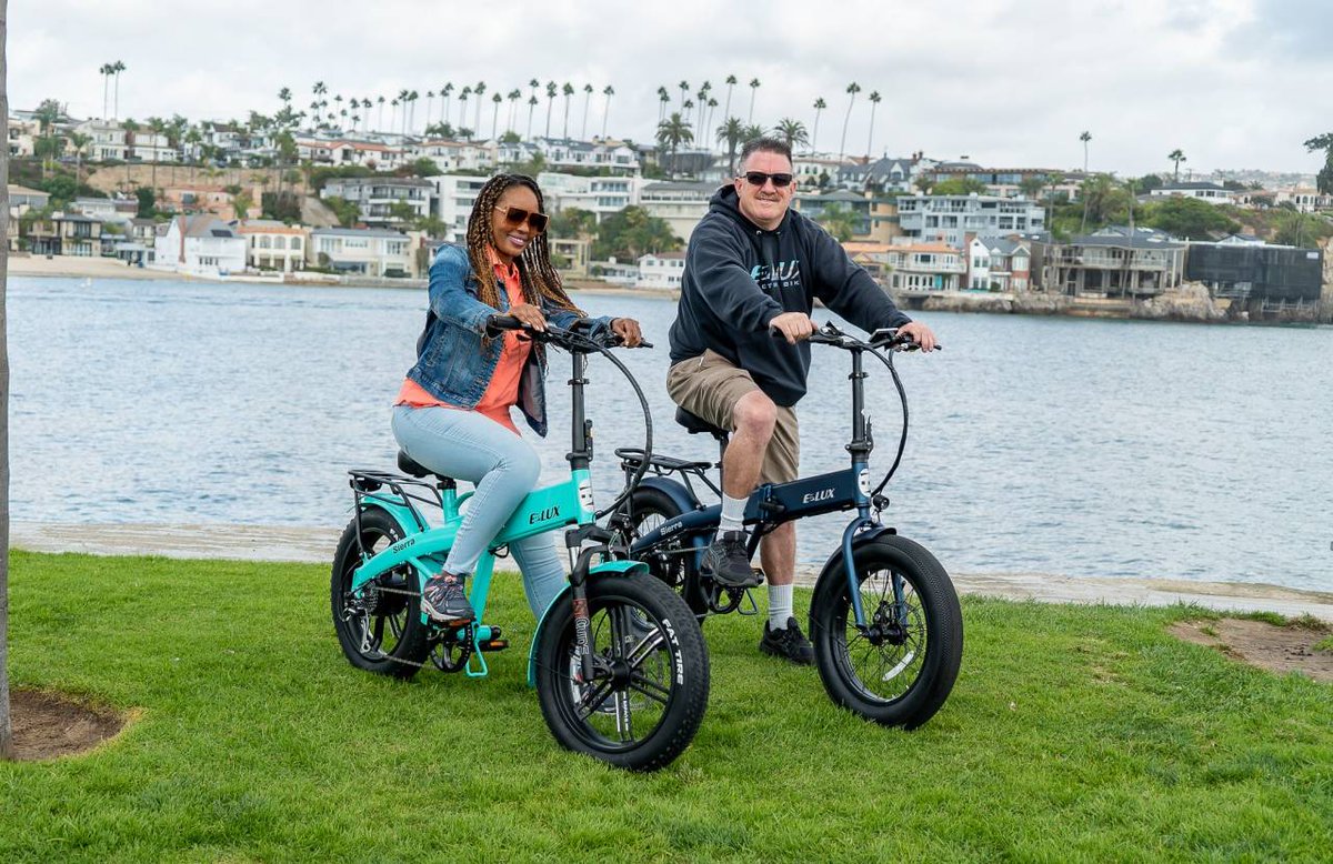 E Lux Electric Bikes tweet media