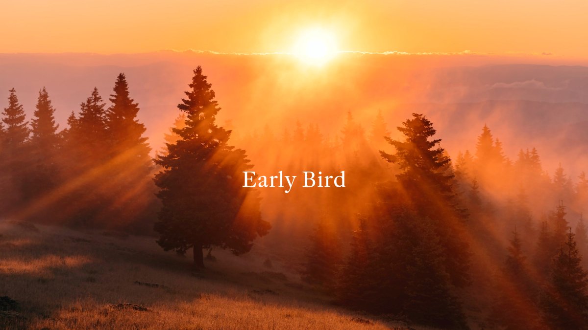 Dosecann tweet media