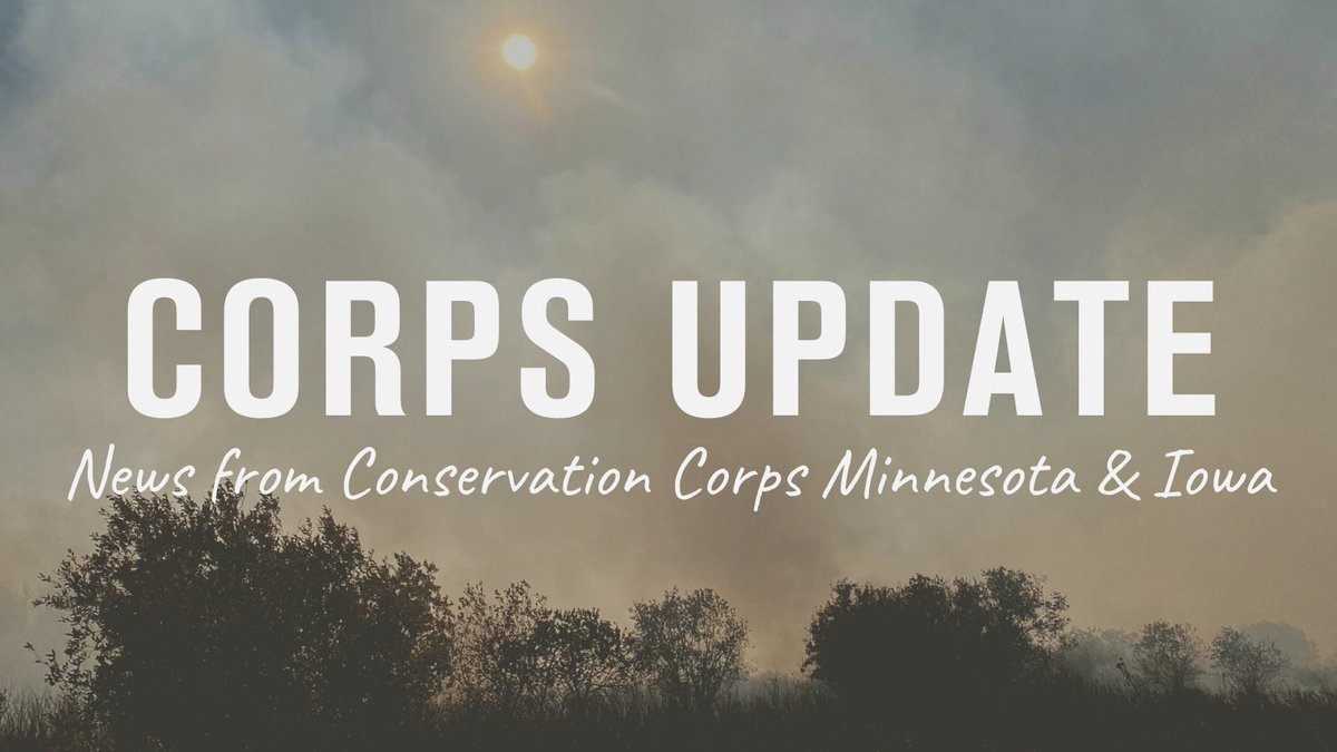 Conservation Corps Minnesota & Iowa tweet media