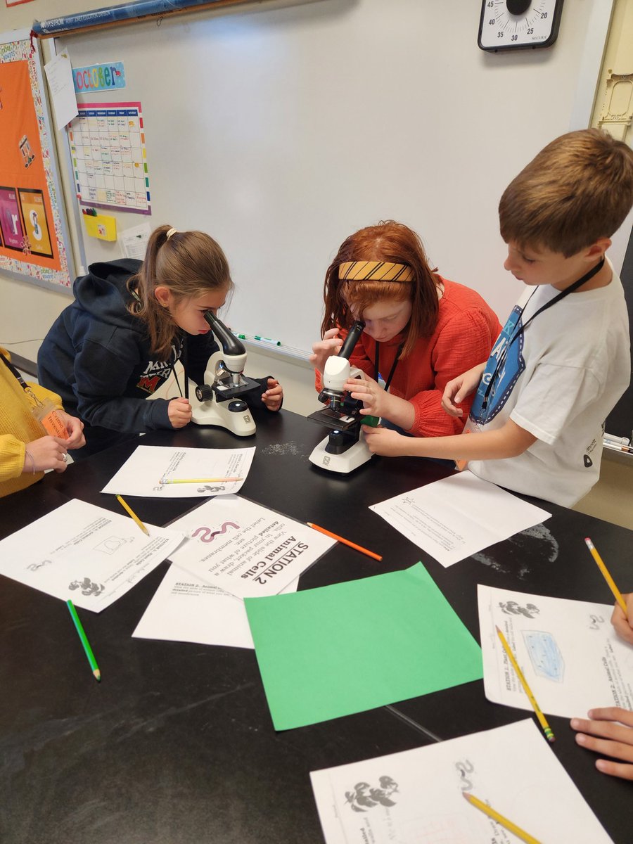 Rebekah Sexton (@sixersgirl2121) on Twitter photo Who stole my dog?! The kids are using their knowledge of plant & animal cells to find evidence of who the dog napper is- Ms. FLY or Mr. Tulip! π€π§ <a href="/SAEsciencelab/">SAE Science Lab</a> <a href="/andylallison/">Andy L. Allison</a> <a href="/MrsAlhadeff/">Karin Alhadeff</a> <a href="/SweetAppleES/">Sweet Apple Elem</a> Who stole my dog?! The kids are using their knowledge of plant & animal cells to find evidence of who the dog napper is- Ms. FLY or Mr. Tulip! π€π§ <a href="/SAEsciencelab/">SAE Science Lab</a> <a href="/andylallison/">Andy L. Allison</a> <a href="/MrsAlhadeff/">Karin Alhadeff</a> <a href="/SweetAppleES/">Sweet Apple Elem</a>