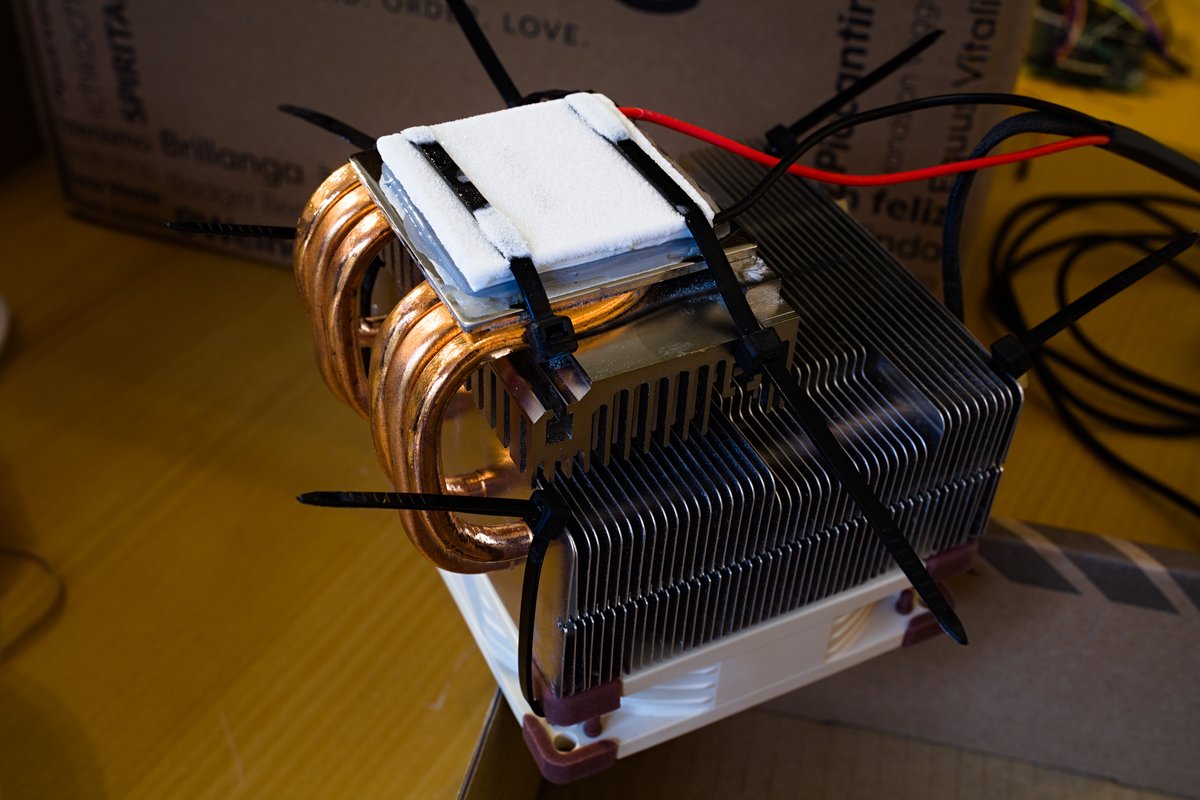 Rachel Newton-John tweet media