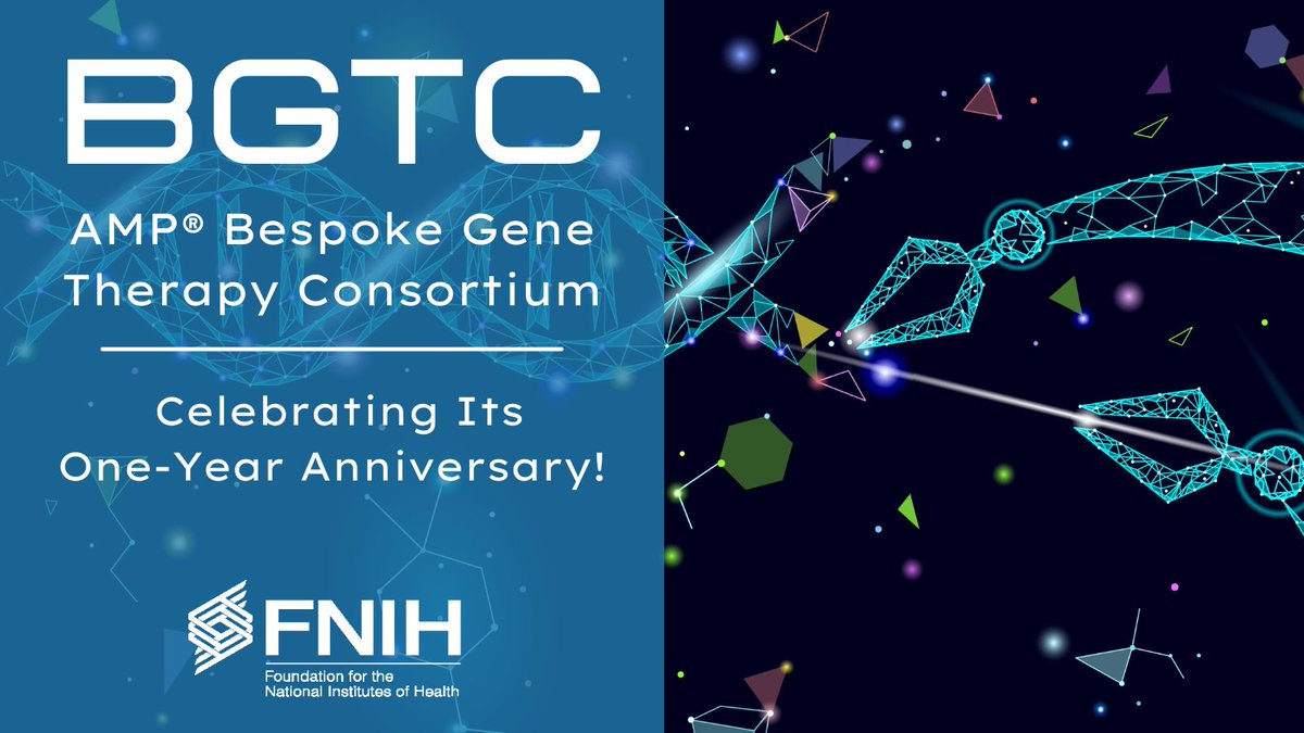 FNIH_Org's tweet photo. AMP® BGTC is celebrating its one-year anniversary! Learn more about this groundbreaking gene therapy effort, what the consortium has accomplished in year one, and what’s in store for year two: https://t.co/97TyQbDqac https://t.co/iMazKwf4hm