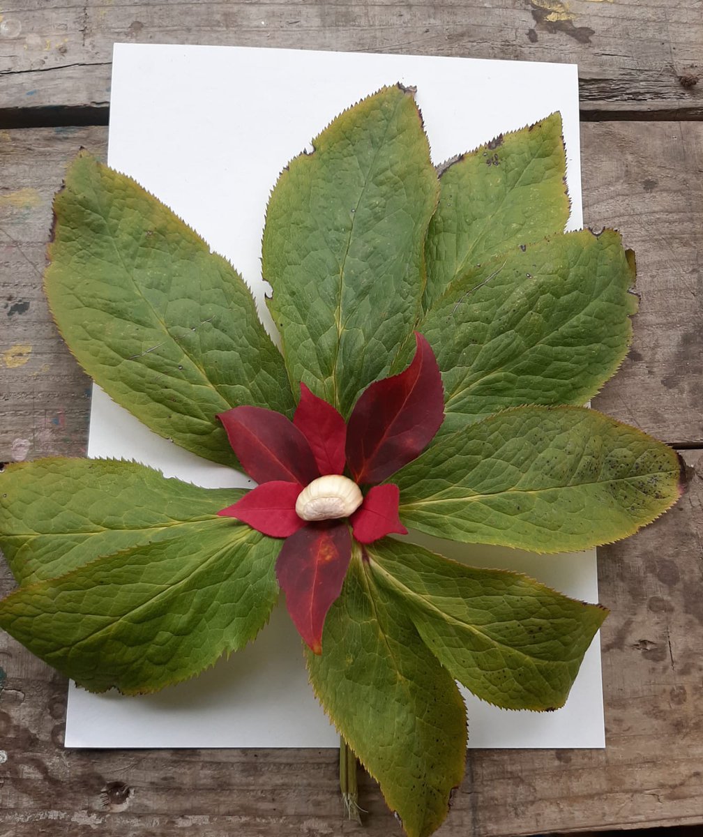 These beautiful pieces of ephemeral art were made in our Being Autistic group.  They all perfectly capture the incredible autumn colours that are making our woodlands particularly magical at the moment.