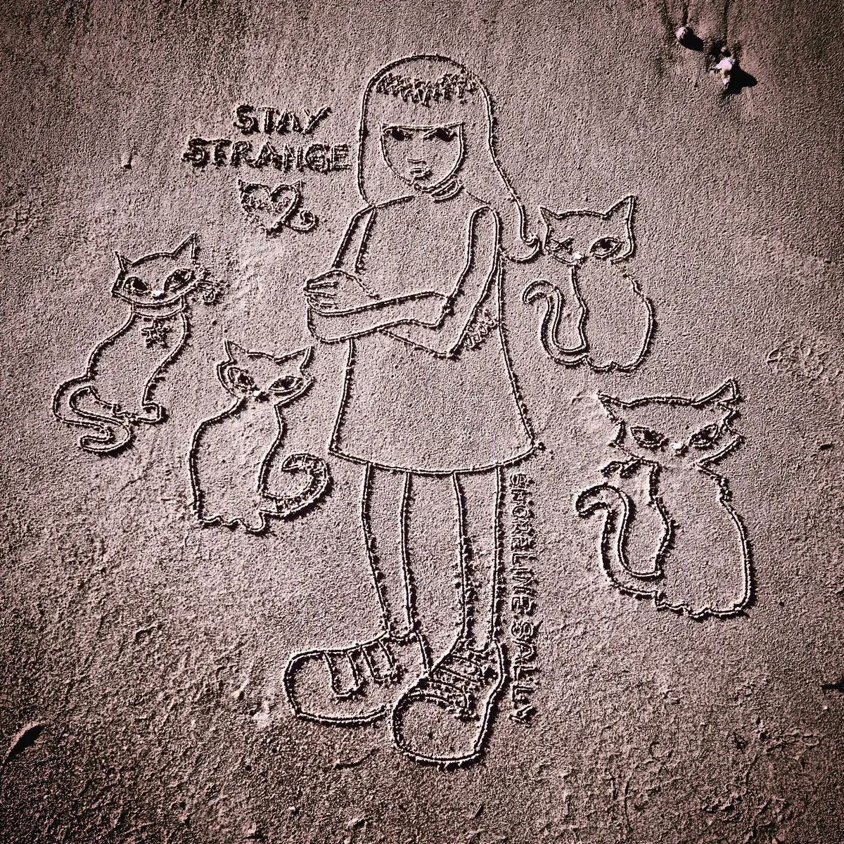 DigiDaughter's tweet photo. Stay Strange π€ #EmilyTheStrange #Cats #Mystery #NeeChee #Miles #Sabbath #RobReger #nathancarrico @harpercollins
π #Covid2022 #Lockdown2021 #morale #VitaminSea πππ #DuneToons #Lockdown2020 #comics #cartoons βοΈ #SandBanksy #shorelinesally Character No.1748-52 https://t.co/OrE25lfpmR