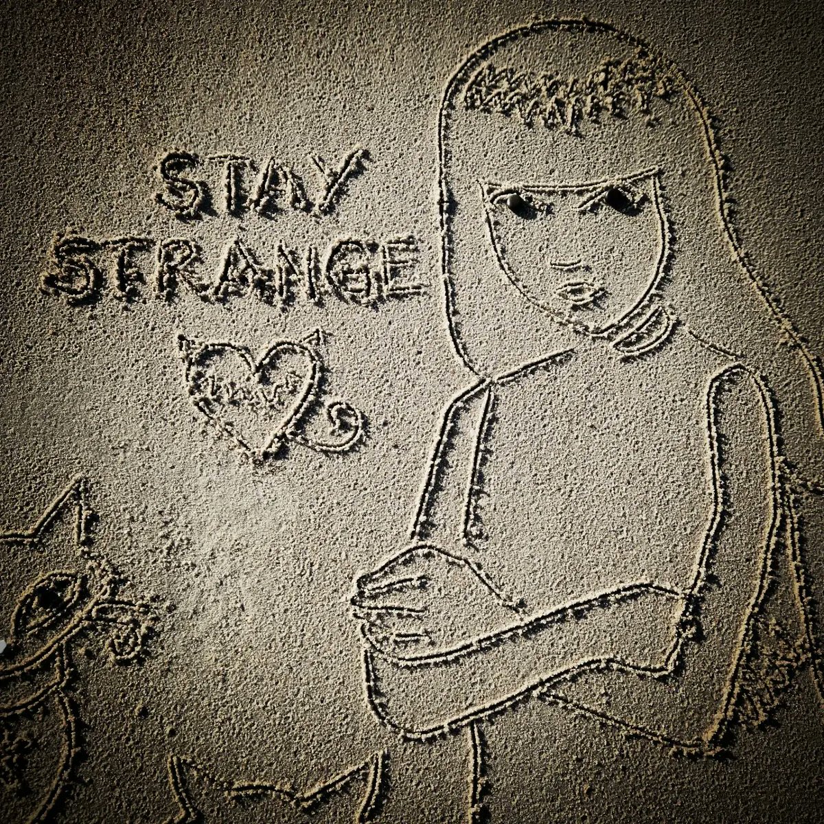 DigiDaughter's tweet photo. Stay Strange π€ #EmilyTheStrange #Cats #Mystery #NeeChee #Miles #Sabbath #RobReger #nathancarrico @harpercollins
π #Covid2022 #Lockdown2021 #morale #VitaminSea πππ #DuneToons #Lockdown2020 #comics #cartoons βοΈ #SandBanksy #shorelinesally Character No.1748-52 https://t.co/OrE25lfpmR