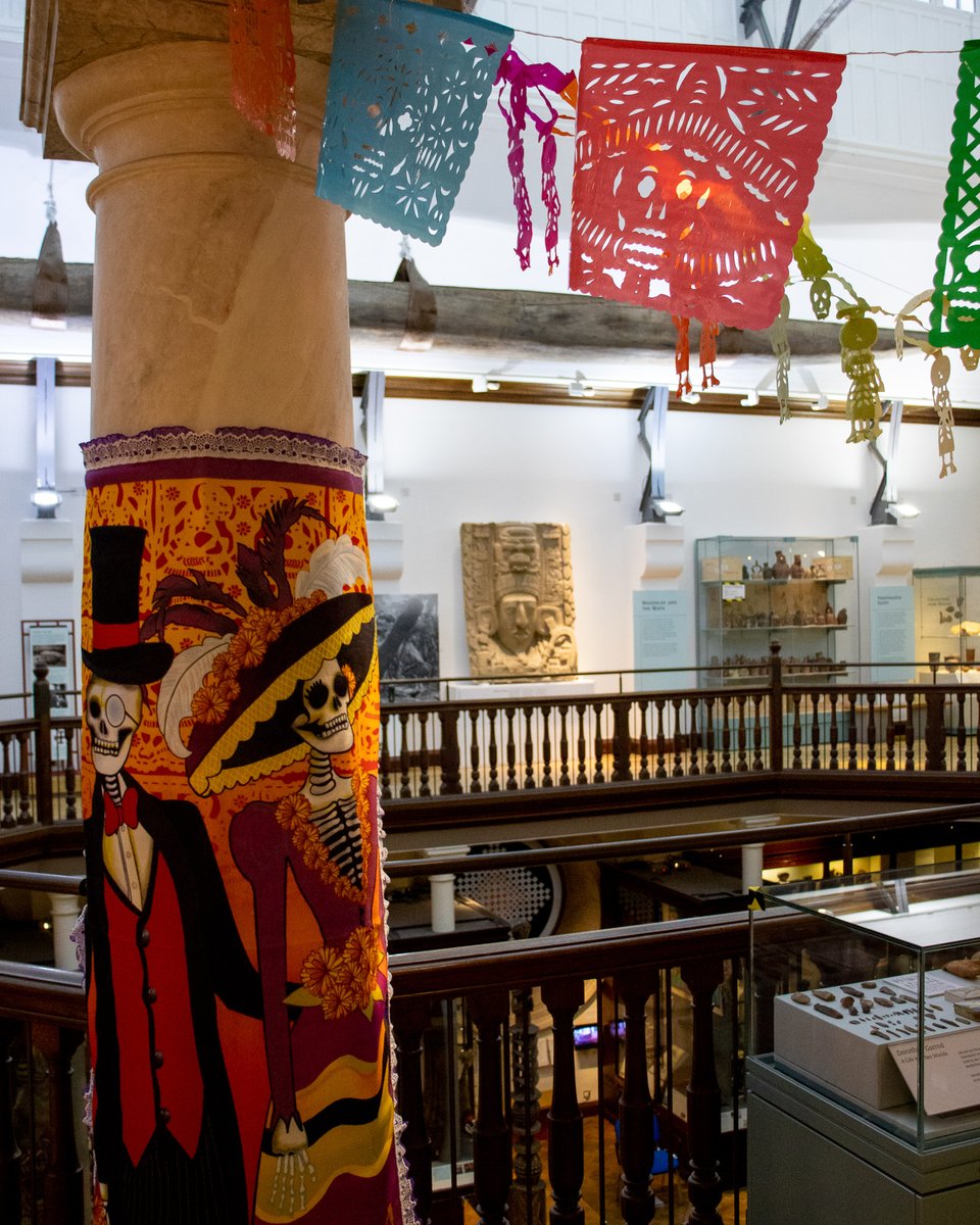Museum of Archaeology and Anthropology tweet media