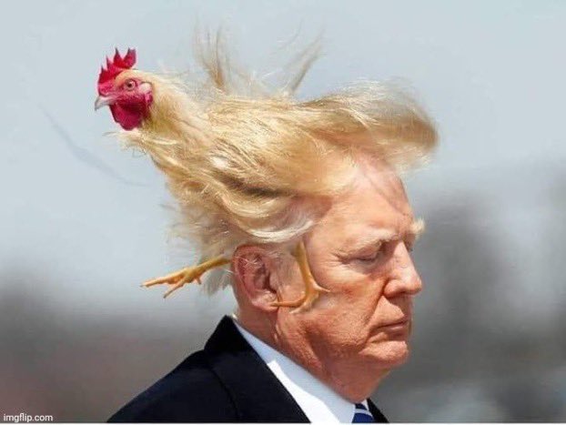 AntiTrumpCanada's tweet photo. Donald Trump is too much of a chicken shit to testify before the Jan. 6 Committee.
#TrumpIsScared https://t.co/S9Off4tn5F