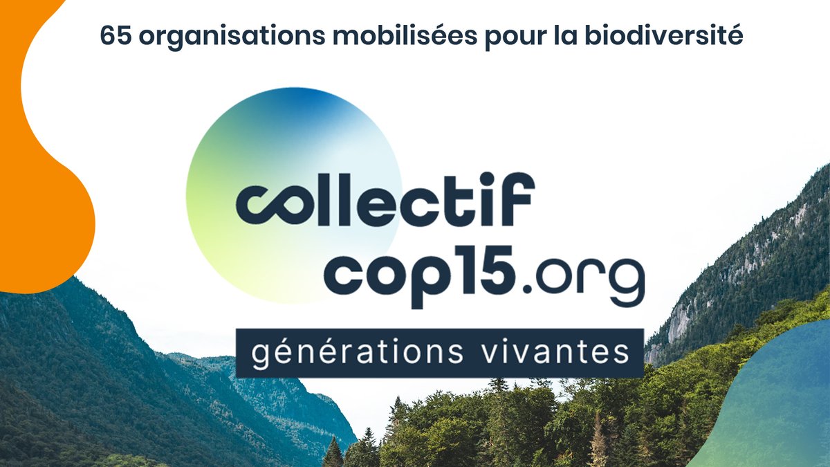 Aujourd’hui, 65 organisations de la société civile québécoise annoncent le lancement d’un Collectif en vue de la #COP15 sur la #biodiversité à Montréal en décembre. Mobilisons-nous pour la sauvegarde du vivant et pour des #GénérationsVivantes!

👉 collectifCOP15.org