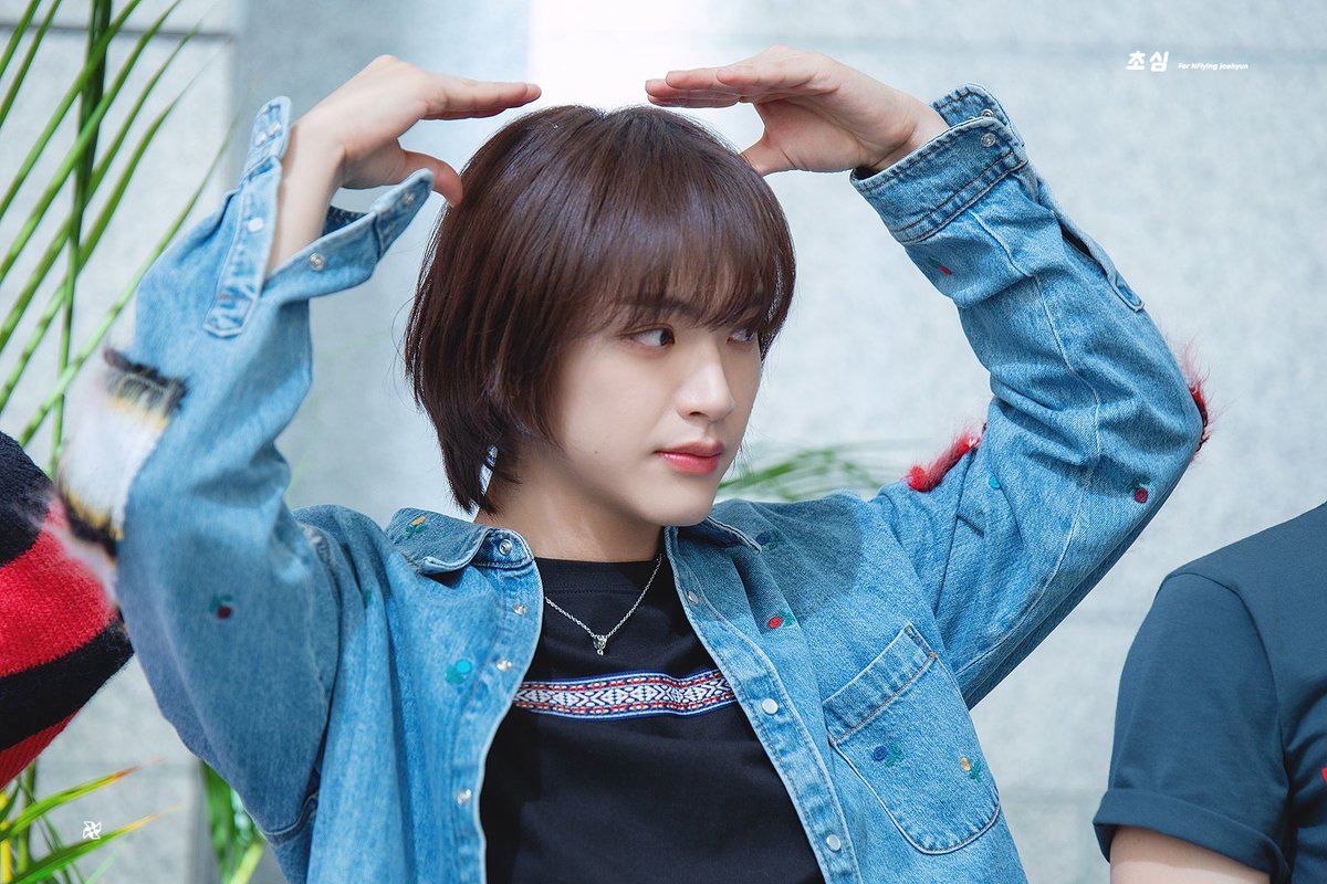 초심 tweet media