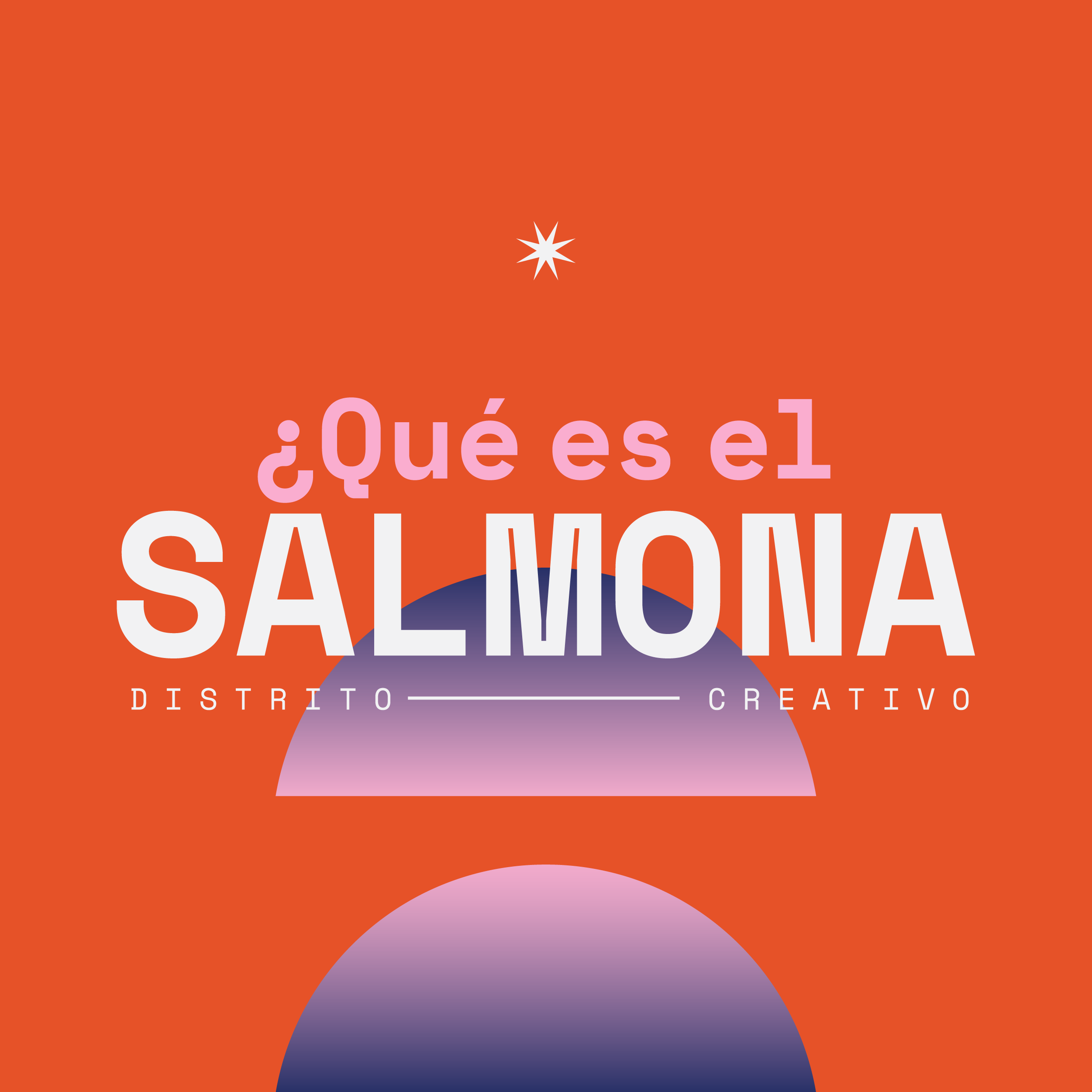 salmona-distrito-creativo-rutasalmona-twitter