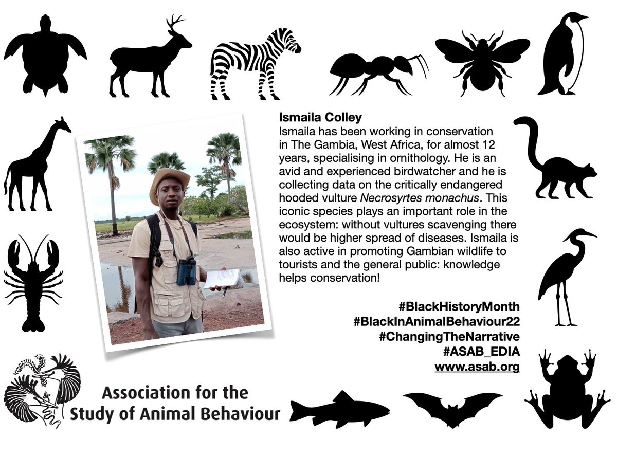 asab_org's tweet photo. Thank you for joining our #BlackHistoryMonth campaign Ismaila. #ChangingTheNarrative #ASAB_EIDA #BlackInAnimalBehaviour22 https://t.co/GflDnVfU0j